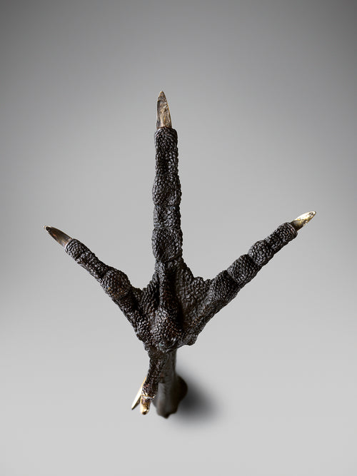 Bronze turkey foot sculpture underside